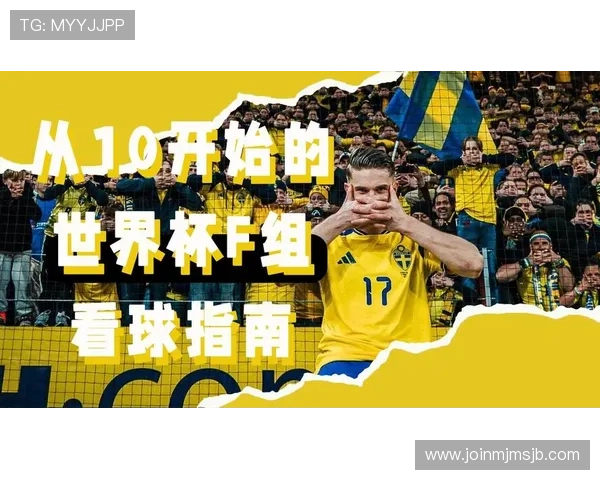 2026年世界杯晋级图解详细指南帮助球迷理解各洲区晋级规则与比赛流程