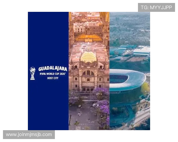 2026年世界杯申办国家的历史背景与申办成功的典型案例分析