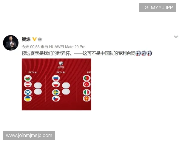 卡塔尔世界杯欧洲区预选赛积分榜动态，关注排名变化背后的原因